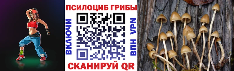 Купить закладки  Ижевск  Галлюциногенные грибы Cubensis 